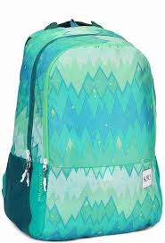 WILDCRAFT WIKI 4 OMBRE SCHOOL BAG-GREEN - Stepin Adventure